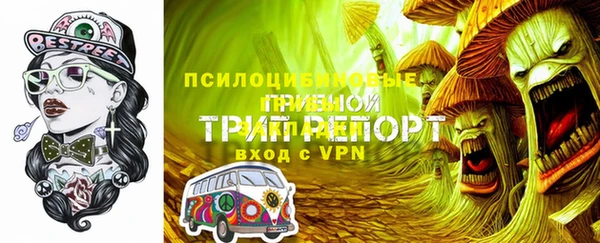 ГАЛЛЮЦИНОГЕННЫЕ ГРИБЫ Беломорск