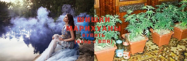 скорость Алзамай