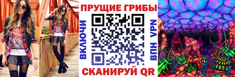 Псилоцибиновые грибы прущие грибы  Белый 